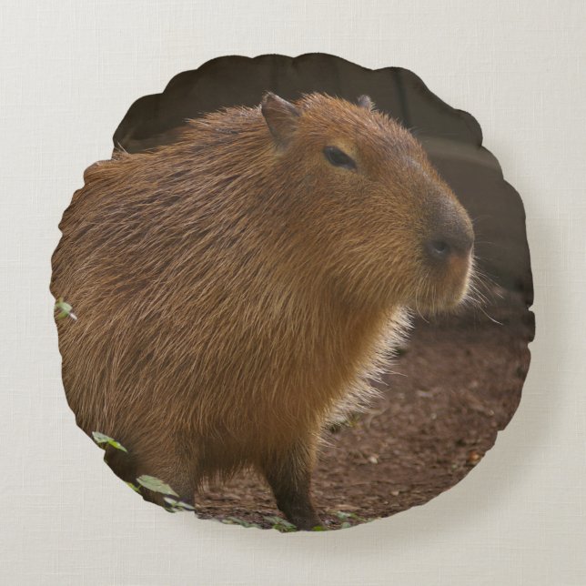 Capybara Round Pillow (Front)