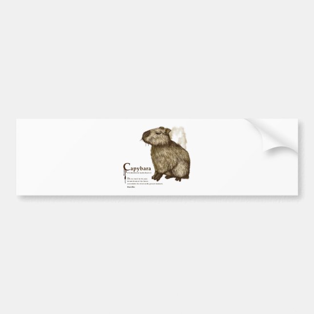 capybara - sepia bumper sticker (Front)