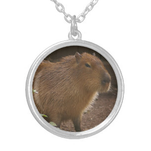 Capybara Silver Plated Necklace