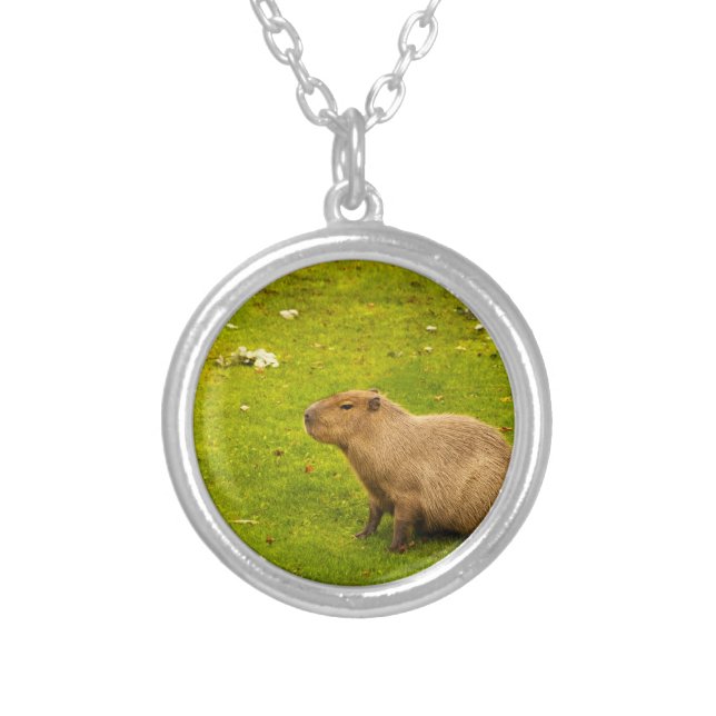 Capybara Silver Plated Necklace (Front)