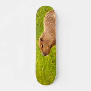 Capybara Skateboard Deck