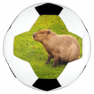 Capybara Soccer Ball