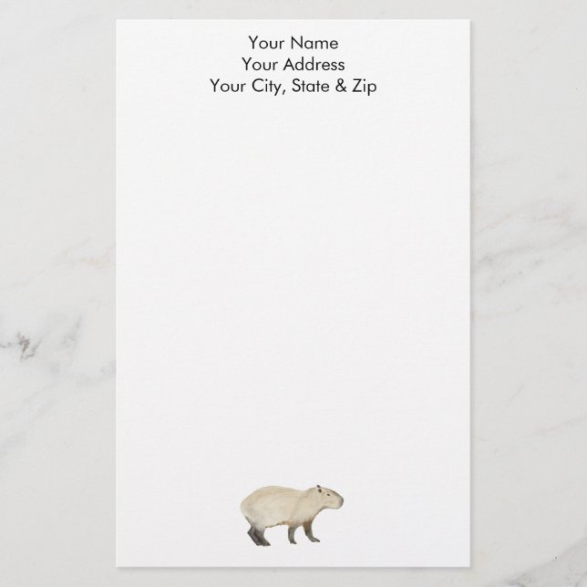 Capybara Stationery (Front)