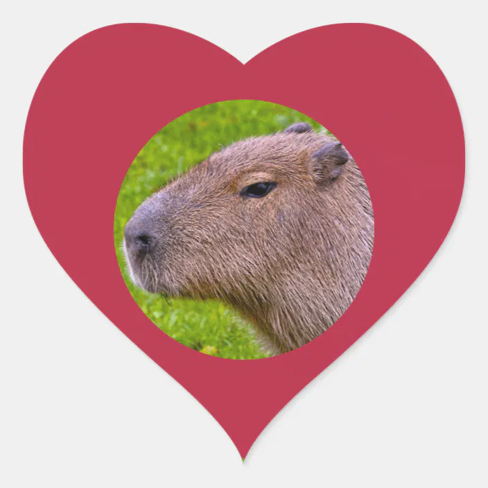 Waterproof Sticker Kawaii Sticker Cute Animal sticker Easter Bunny Capybara With Chick Friends Glossy Or Holo Sticker Capybara Gifts