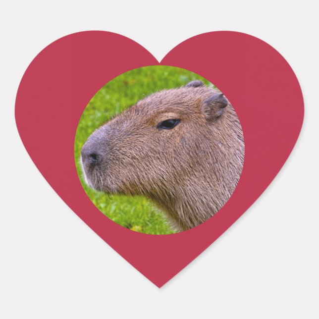 Capybara Sticker (Front)