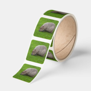 Capybara Sticker