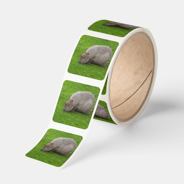 Capybara Sticker (Roll)