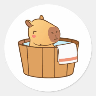 Capybara Stickers Cute Animal Stickers for Kids