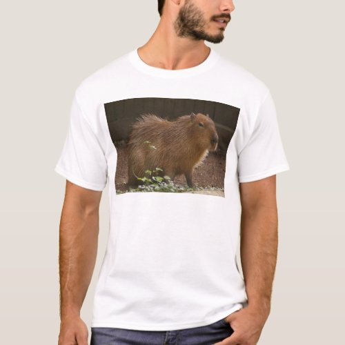 Capybara T_Shirt