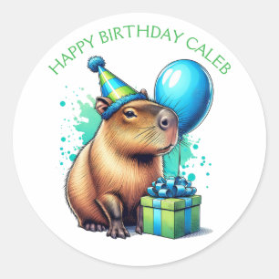 Capybara Themed Boy's Birthday Party Classic Round Sticker