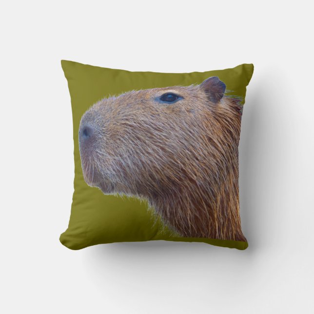 Capybara Throw Pillow (Front)