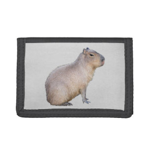 Capybara Tri-fold Wallet