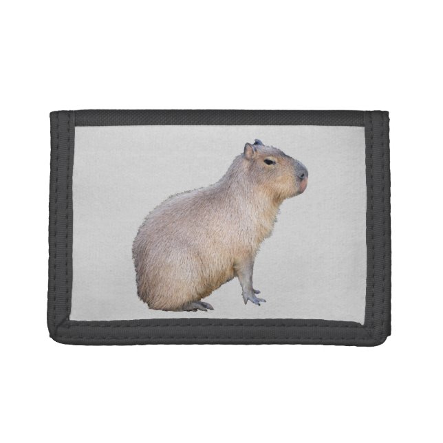 Capybara Tri-fold Wallet (Front)