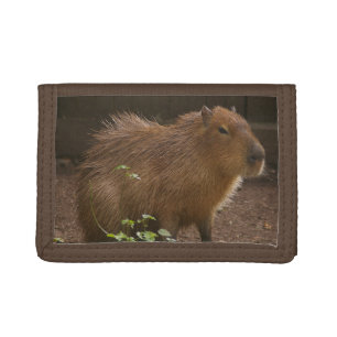 Capybara Trifold Wallet