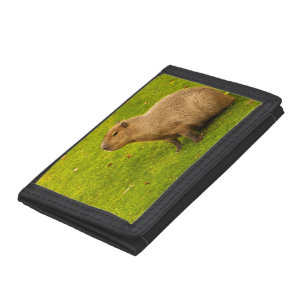 Capybara Trifold Wallet