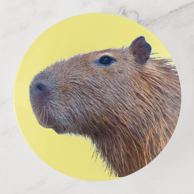 Capybara Trinket Tray (Front)