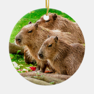 Capybara Trio Ceramic Ornament