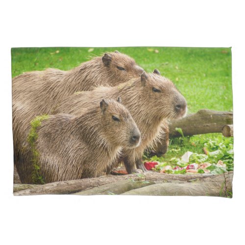 Capybara Trio Pillow Case