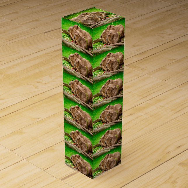 Capybara Trio Wine Box (Front)