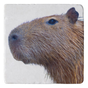 Capybara Trivet