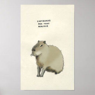 capybara trivia poster