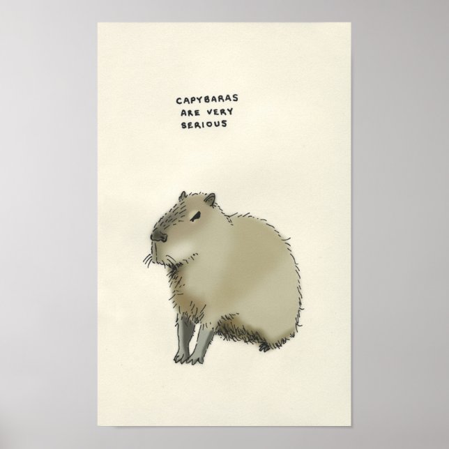 capybara trivia poster (Front)