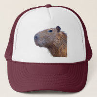 Capybara