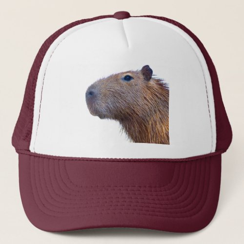 Capybara Trucker Hat