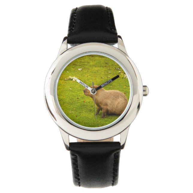 Capybara Watch (Front)