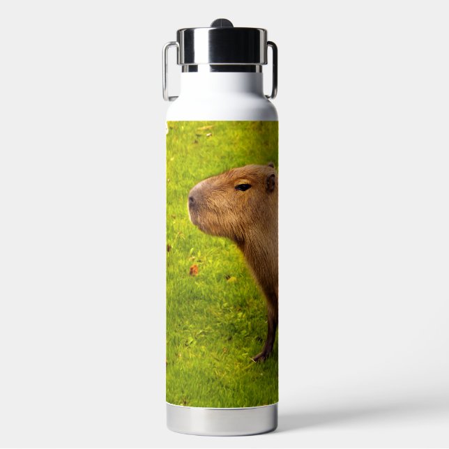 Capybara Water Bottle (Front)