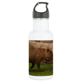 capybara water bottle