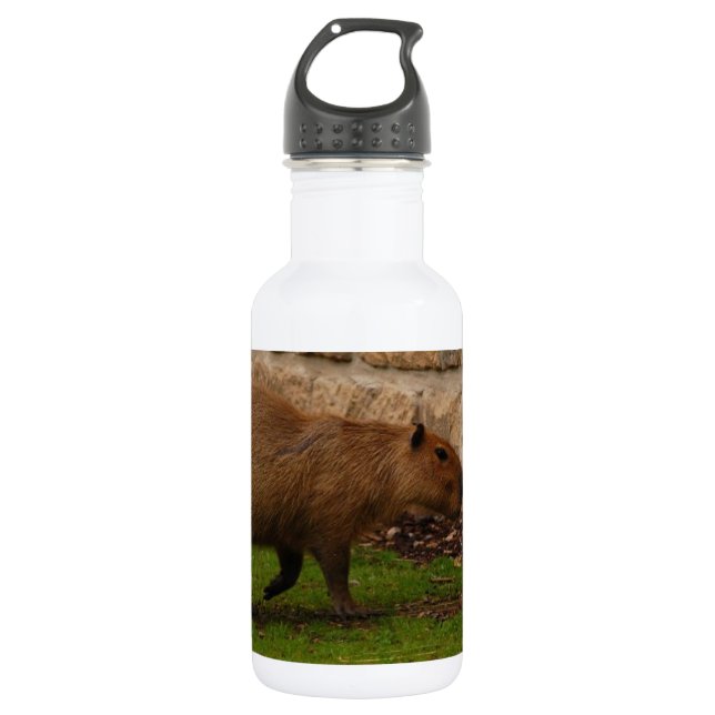 capybara water bottle (Front)