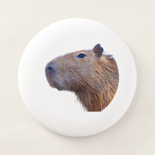 Capybara Wham-O Frisbee