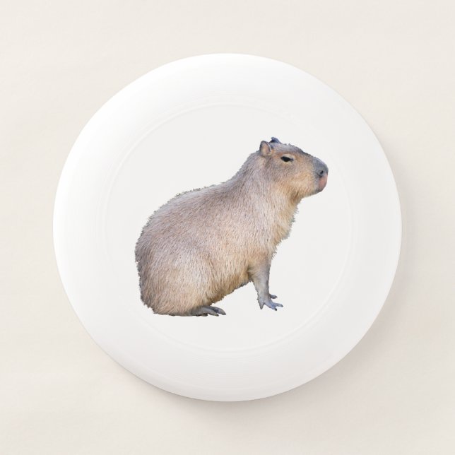 Capybara Wham-O Frisbee (Front)