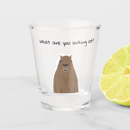 Capybara what are you looking at Drinkware Set Shot Glass