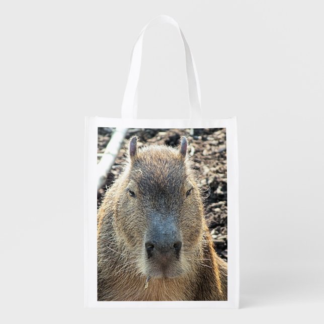 CAPYBARA WILD ANIMAL GROCERY BAG (Front)