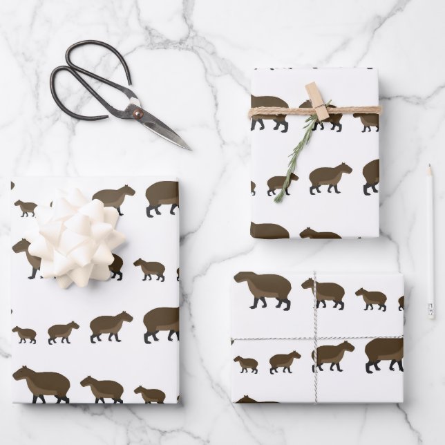 Capybara Wrapping Paper Sheets (Front)