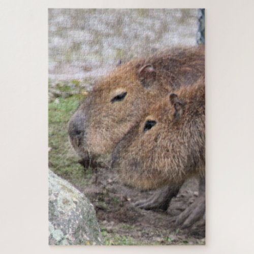 Capybarahs Jigsaw Puzzle