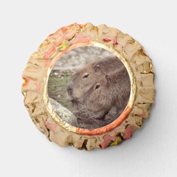 Capybarahs   Reese's Peanut Butter Cups by MehrFarbeImLeben at Zazzle