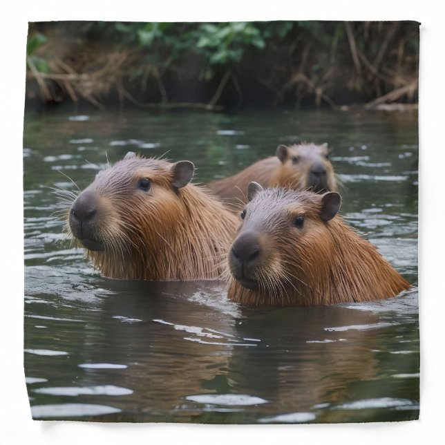 Capybaras' Swimming In The River,  Bandana (Front)