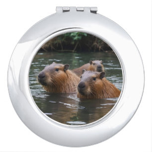 Capybara's Swimming In The River, Compact Mirror