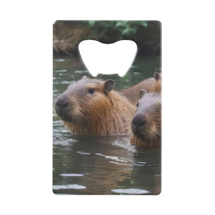 Capybaras' Swimming In The River,  Credit Card Bottle Opener