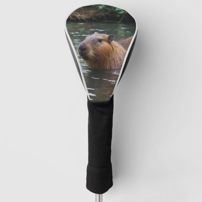 Capybaras' Swimming In The River,  Golf Head Cover (Front)