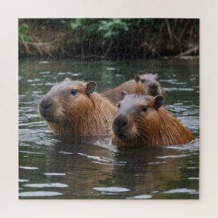 Capybaras' Swimming In The River, Jigsaw Puzzle