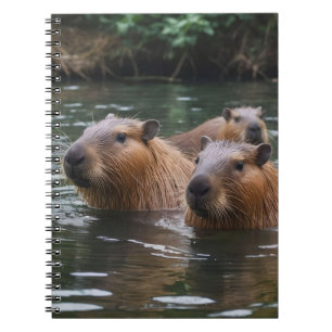 Capybaras' Swimming In The River, Notebook