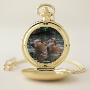Capybaras' Swimming In The River,  Pocket Watch