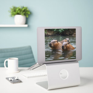Capybaras' Swimming In The River,  Sticker