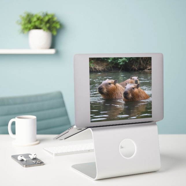 Capybaras' Swimming In The River,  Sticker