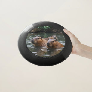 Capybaras' Swimming In The River,  Wham-O Frisbee