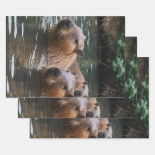 Capybaras' Swimming In The River, Wrapping Paper Sheets